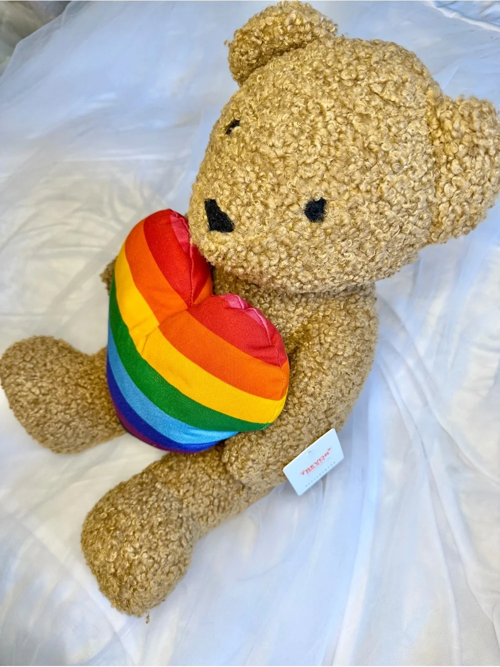 Pottery Barn Teddy Shaped Pillow- Trevor Project 🌈 FREE SHIPPING!